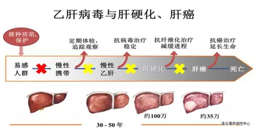 http://www.chinacdc.cn/jkzt/ymyjz/ymlbgd/201610/W020161018550845334753.jpg