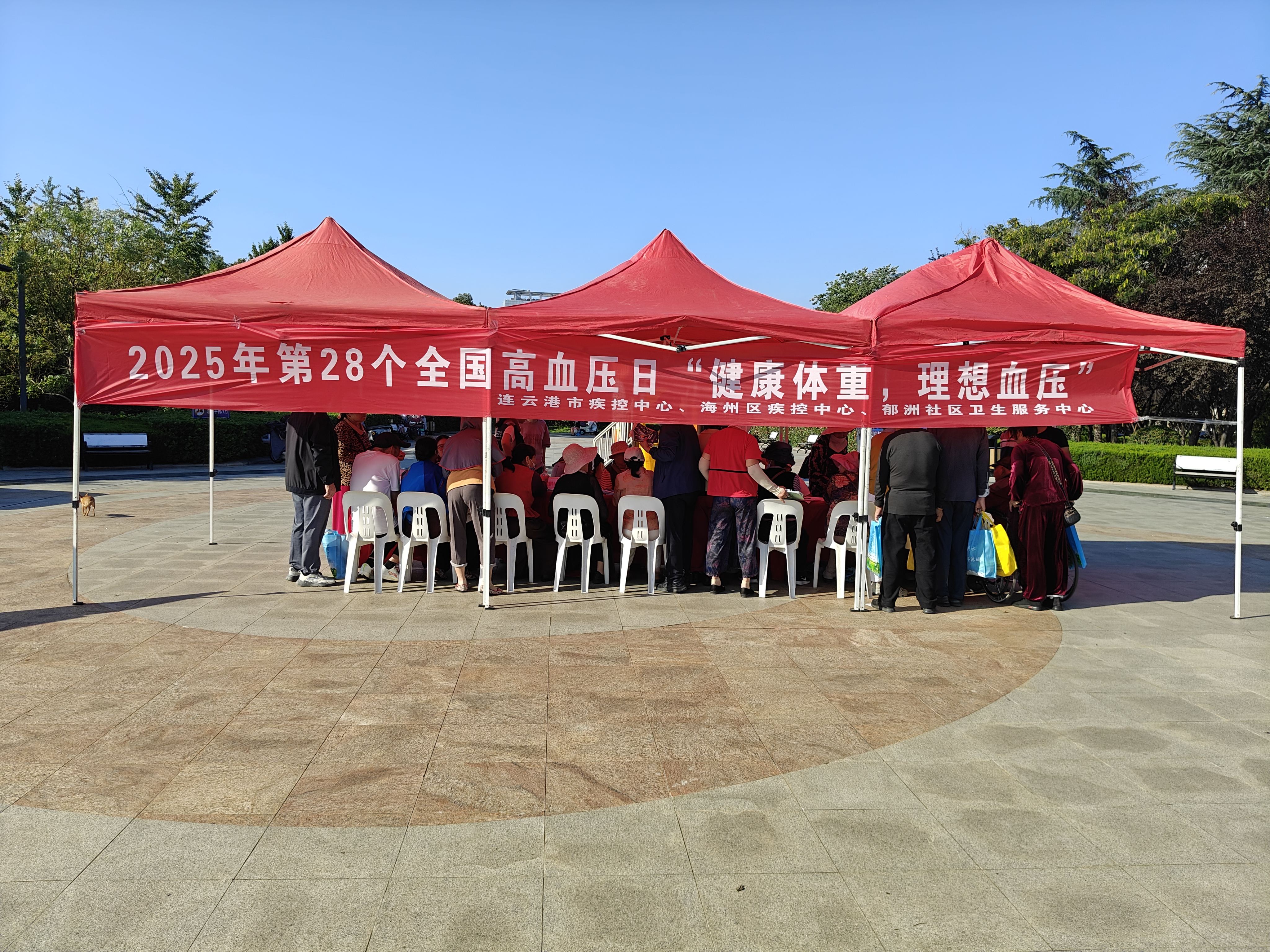 IMG20251009150443.jpg